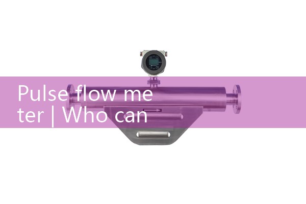 pulse flow meter|water flow meter